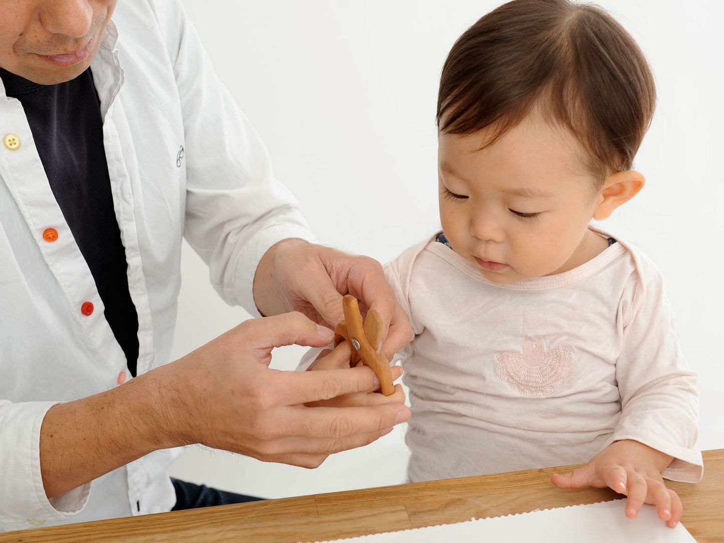 宮崎県から 桜の木の はさみ