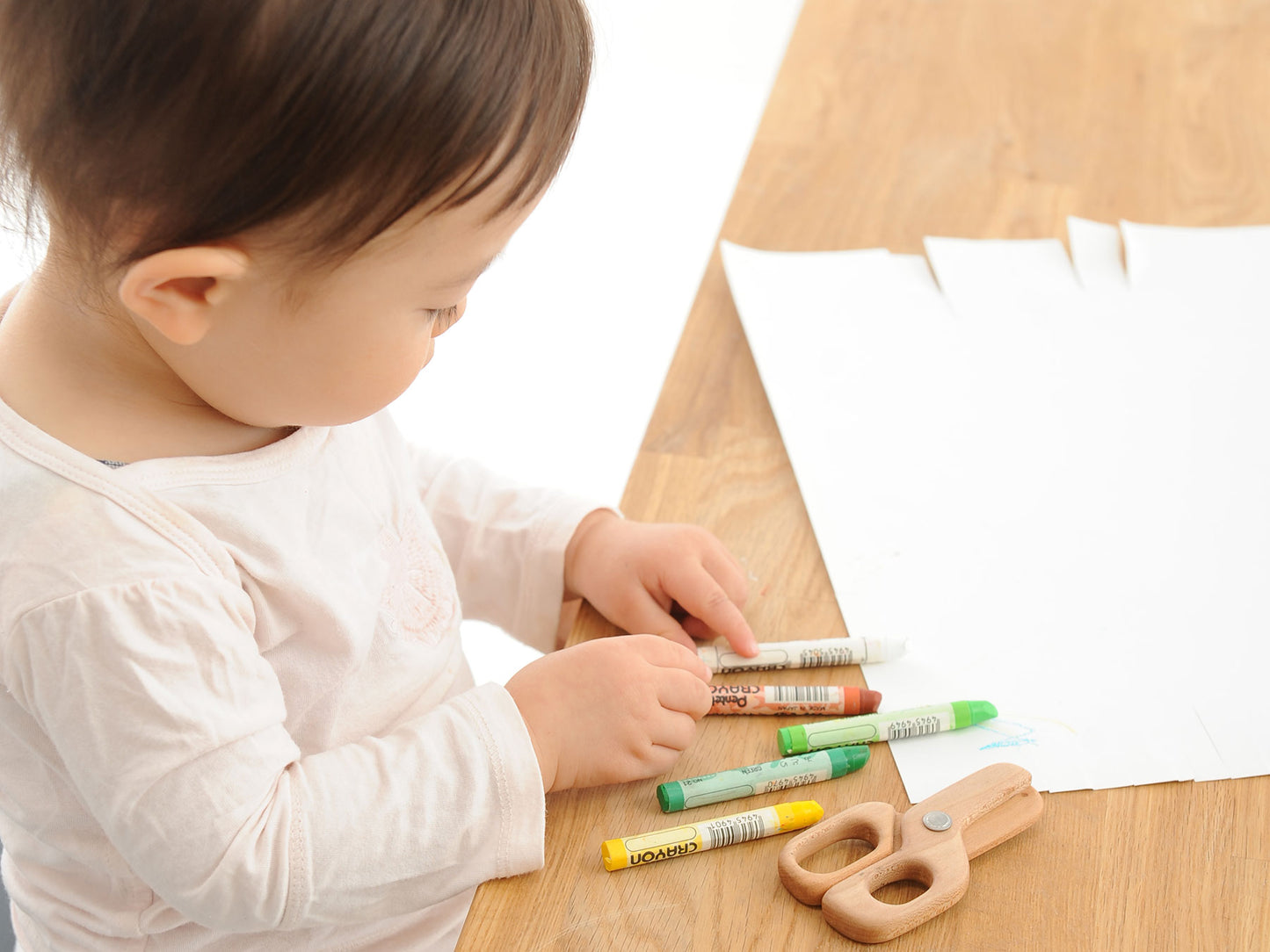 宮崎県から 桜の木の はさみ